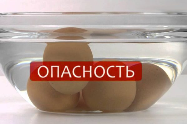 Это необходимо знать всем без исключения! Как проверить яйца на свежесть.