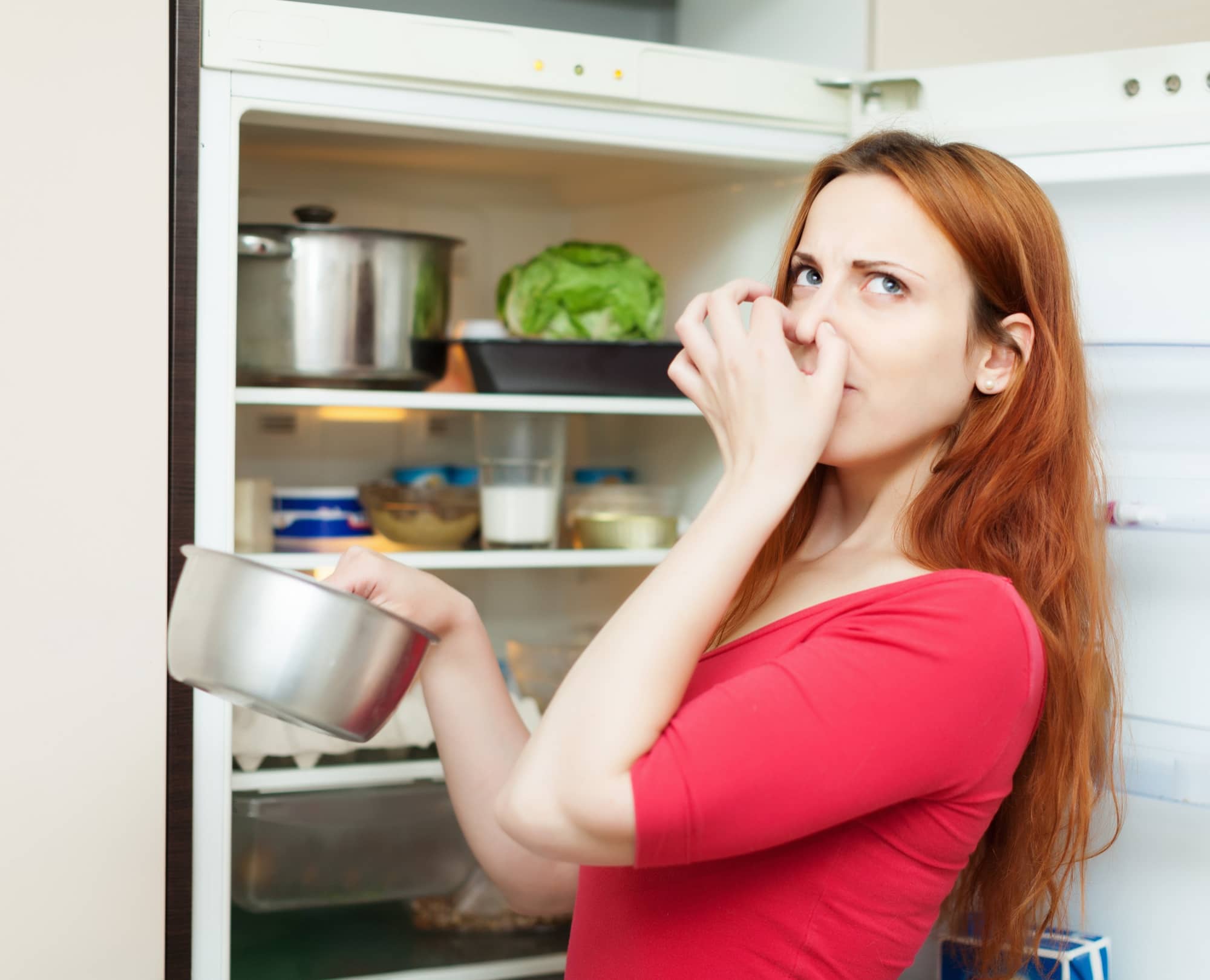 Почему воняет холодильник. Испорченная еда. Неприятный запах в холодильнике. Испорченные продукты в холодильнике. Неприятный запах из холодильника.
