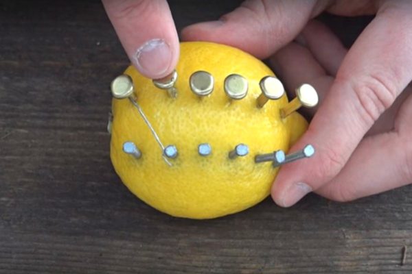 Он воткнул в лимон несколько гвоздей и обмотал их проволокой, а спустя мгновение случилось НЕЧТО!