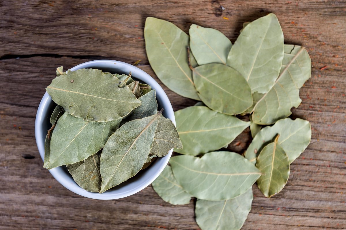 куриный бульон с яйцом