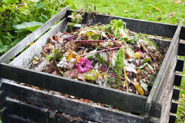 Ошибки в приготовлении компоста, портящие его безвозвратно