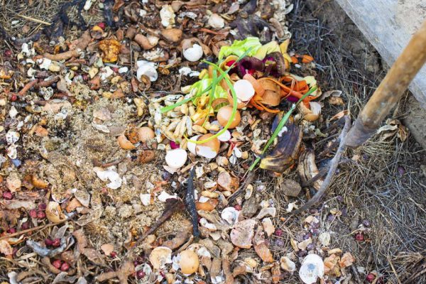 Каждый дачник трясется над своей компостной ямой, рассказываю, как подготовить идеальный компост