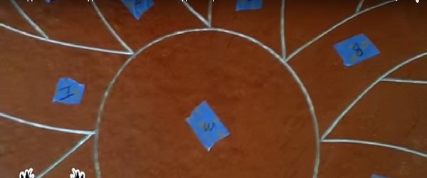 красивый пол