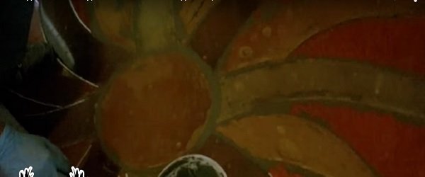 красивый пол