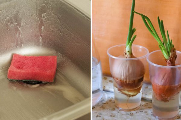 Что нужно выбросить из кухни, чтобы муж не отходил от домашнего очага