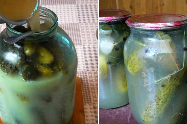Ошибки при консервации огурцов, из-за которых белеет рассол в банках
