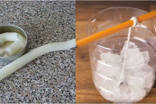 Зачем разрезать пластиковую бутылку пополам