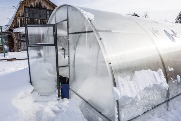 Когда мы обустраивали теплицу, все крутили пальцем у виска, но китайский метод не подвел, радуемся вторую зиму