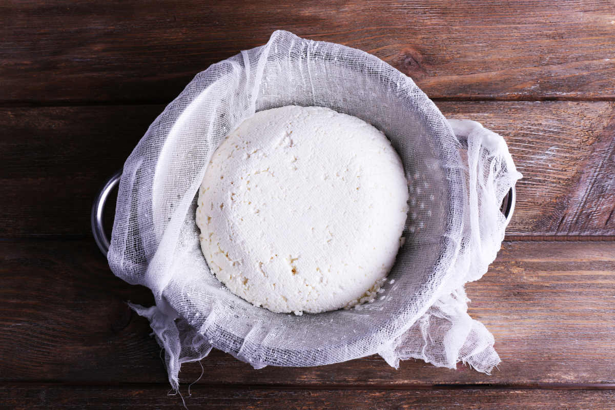 как сделать твердый сыр из творога