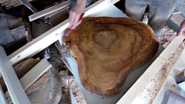 То, что он сделал из пня, вдохновляет. Великолепная и функциональная идея для гостиной.