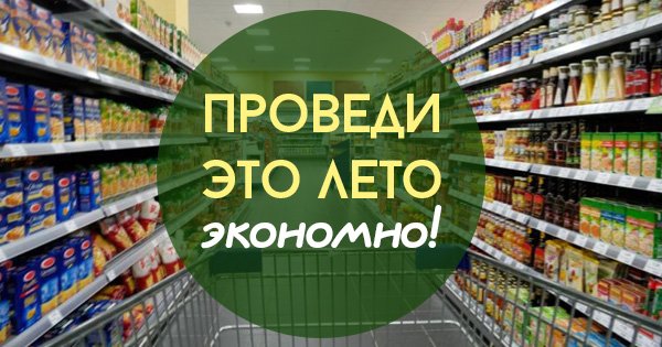 Проект вкус жизни