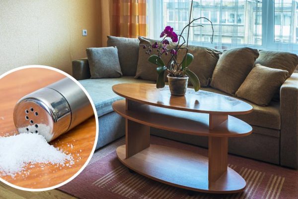 Эзотерик на пенсии находит подклады, будто заправская ищейка