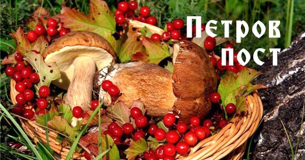 Полезная памятка для тех, кто соблюдает Петров пост