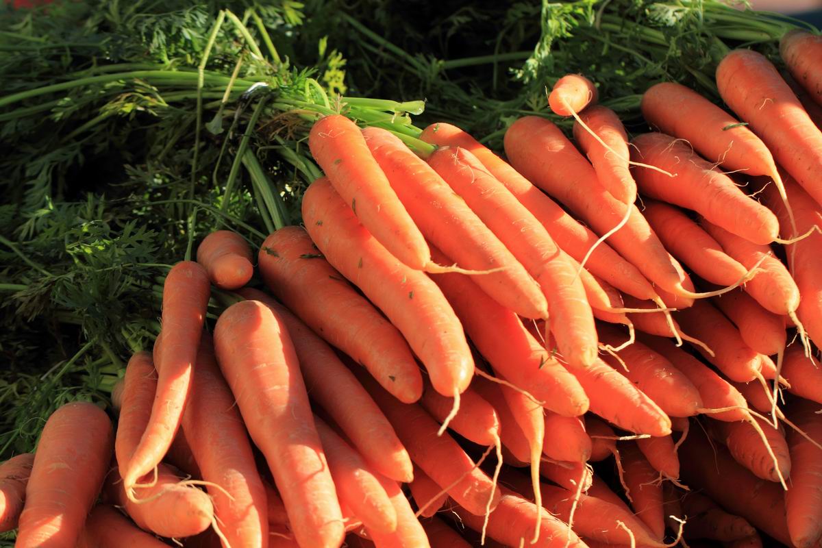 Как сохранить морковь в домашних условиях: простые секреты