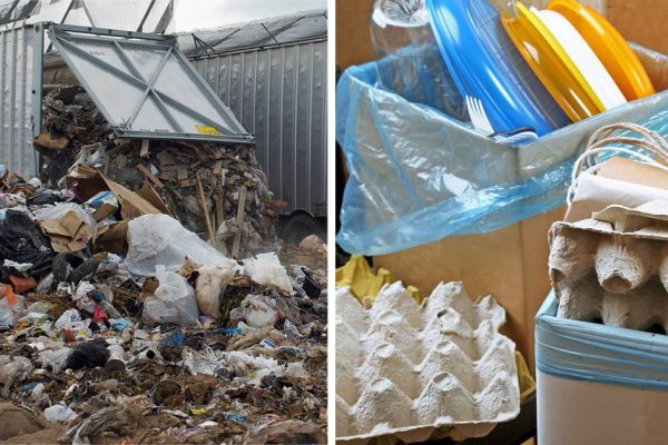 Как начать сортировать мусор