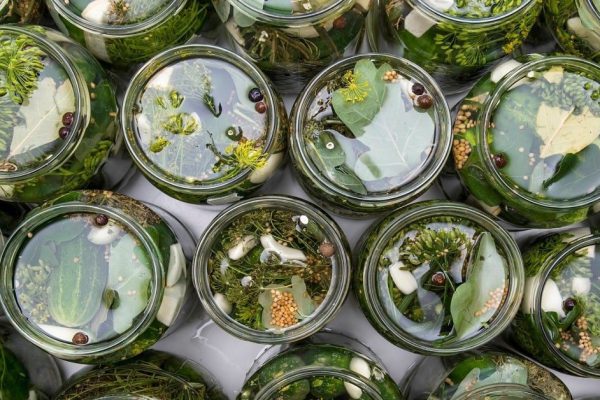 Советы свекрови по холодной стерилизации банок