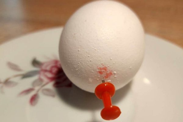 Легкий способ почистить яйцо, чтобы скорлупа слетала от одного взгляда на нее