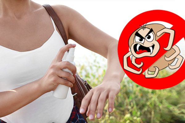 Цацкаться с клещом не стоит, как дать понять, кто хозяин в доме