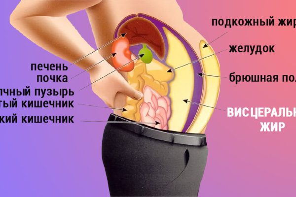 Висцеральный жир — невидимый враг! Избавилась от этой гадости…