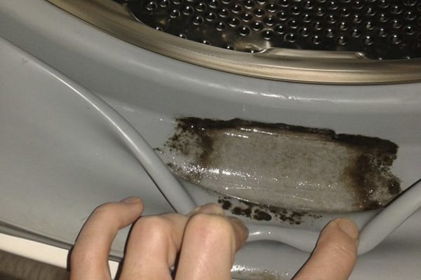 Скверная хозяйка призналась, что не в силах вывести плесень из стиральной машины