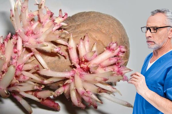 Заросли папиллом, противные фибромы и омерзительные бородавки вскоре исчезнут, надо только…