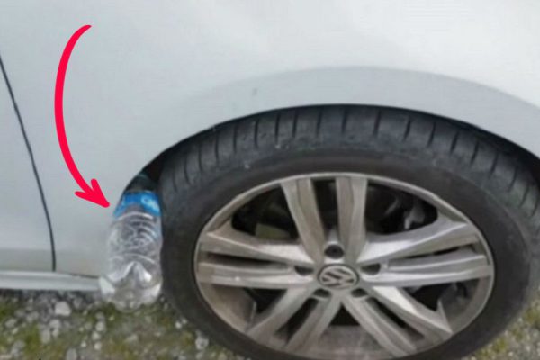 Если на колесе твоей машины пластиковая бутылка — ты в опасности! Запомни непреложное правило…