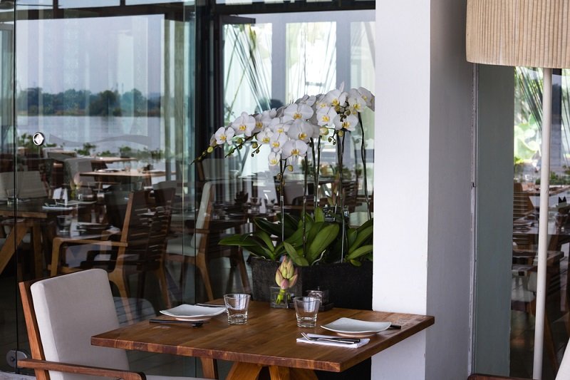 как ухаживать за орхидеей