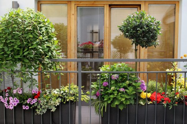 Beautiful modern terrace with a lot of flowers and herbs
