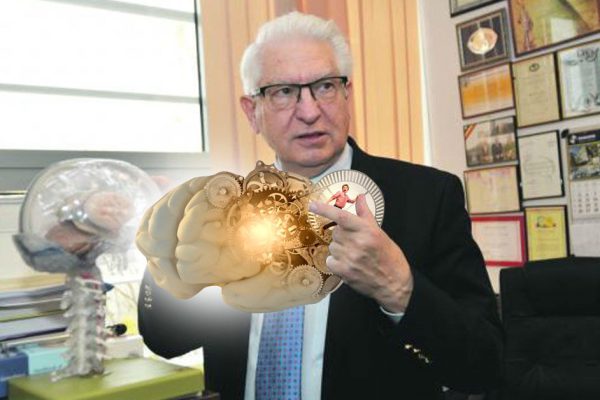 Какие продукты помогут активной мозговой деятельности