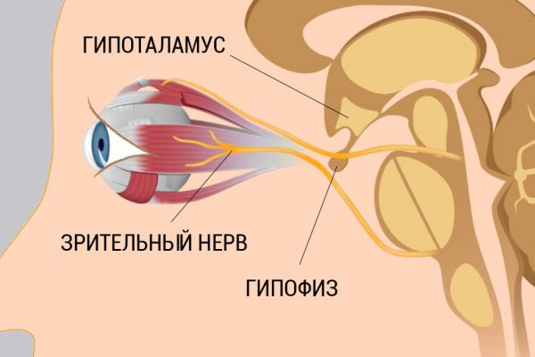 8 шагов к улучшению и восстановлению зрения. Работает, даже если ты носишь очки!