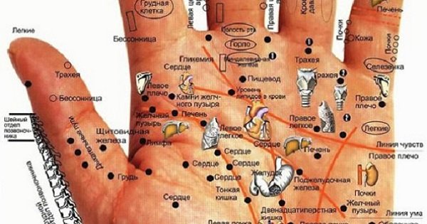 Как узнать состояние здоровья по рукам: необыкновенная, но такая правдивая диагностика!
