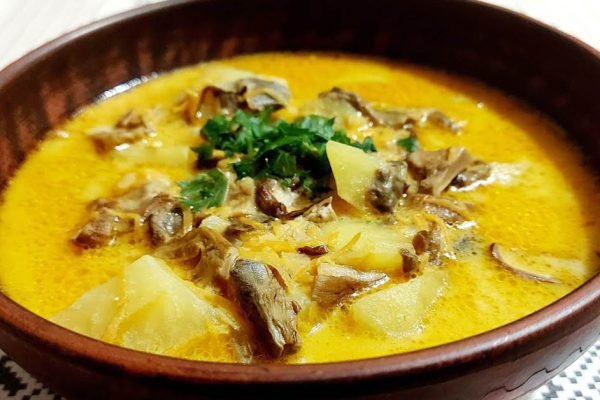 Ловкая закарпатская хозяйка показала, как приготовить настоящую юшку из белых грибов