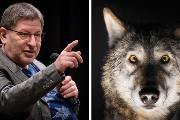 Первый парень на деревне: кто такой альфа-самец и как этот стереотип портит мужчинам жизнь