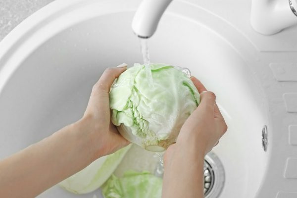 Female hands wash cabbage