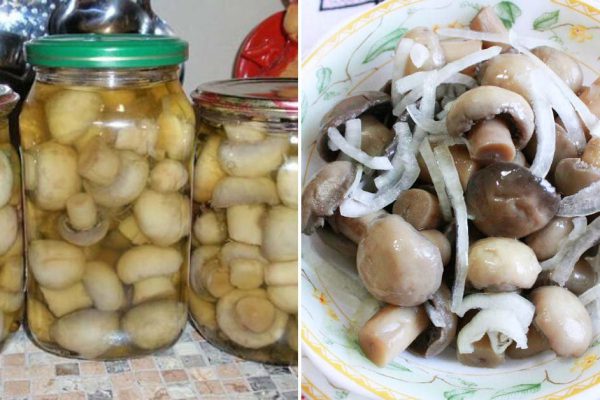 Дежурный рецепт маринованных грибочков в банках на зиму
