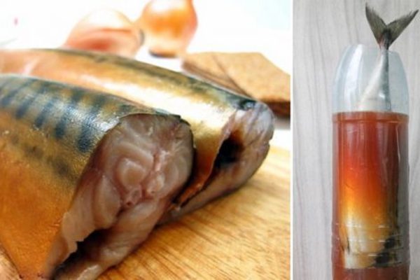 Как вкусно засолить скумбрию