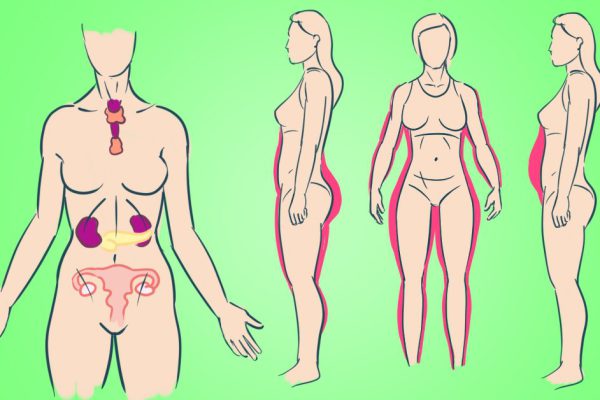 Не допусти нарушения гормонального фона: 5 трав, которые помогут восстановить женское здоровье. Никаких таблеток!