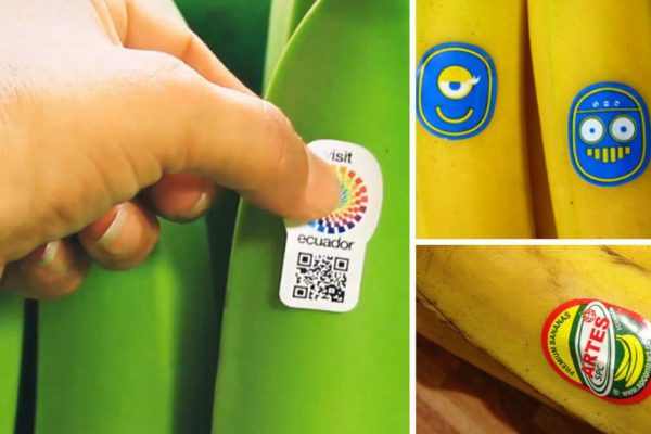 Знаешь ли ты, что означают эти наклейки на фруктах? Скрытый шифр тебя удивит!