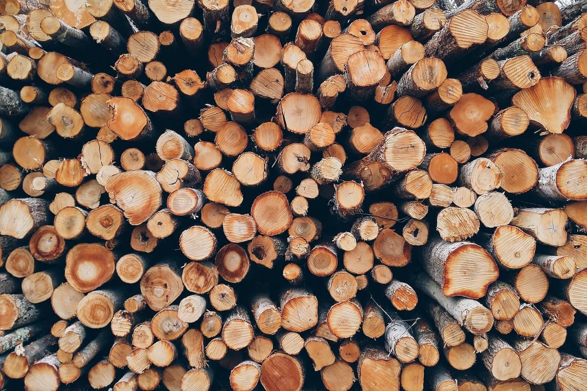 как выбрать дрова