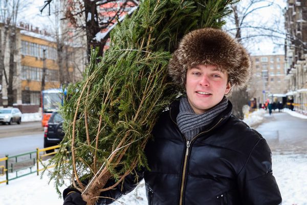 Как выбрать елку