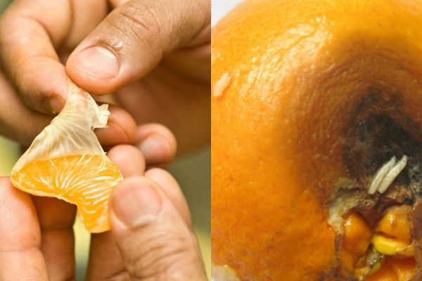 Как правильно выбрать мандарины: скрытые опасности ароматных плодов.