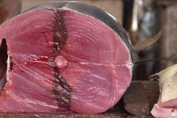 Осторожно — ртуть! 10 видов рыбы, которую лучше не есть.