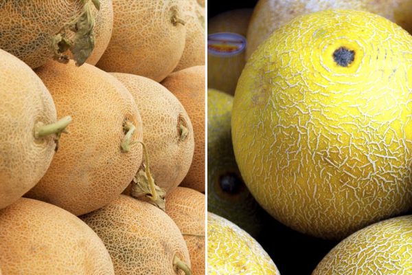 У гагауза на рынке выпытала, как найти сладкую дыню среди сотни невкусных