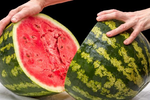 Hands with two halves of a ripe watermelon on black background
