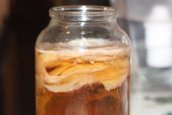 Она приготовила чай и оставила его на месяц. То, что из этого вышло, называли эликсиром молодости!