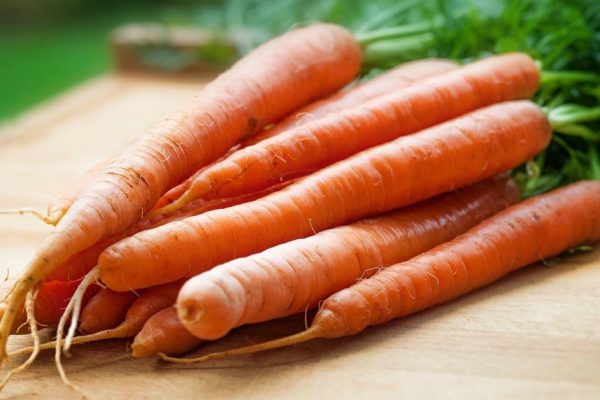 Дачник рассказал, почему у него раньше морковка росла маленькая, и что он изменил, чтобы это исправить