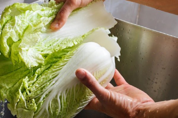 Матерый дачник объяснил, как вырастить пекинскую капусту прямо во дворе своего дома