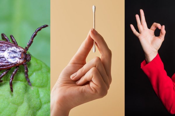 Как перестать беспокоиться по поводу клещей