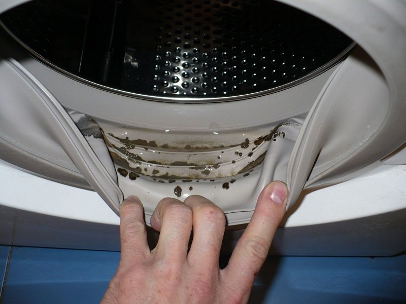 мухъл в перална машина