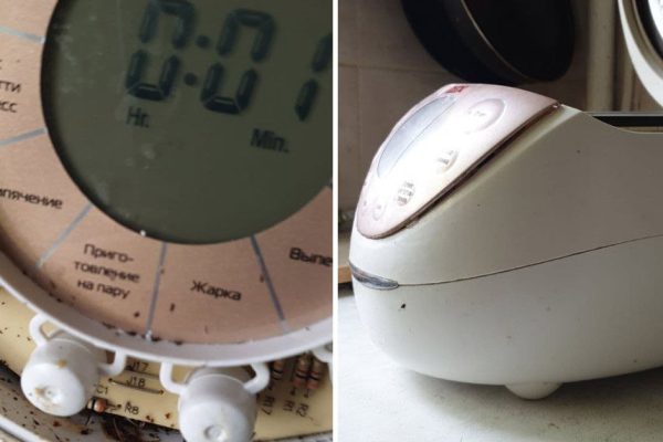 Друг спешно покинул город, обнаружила тараканов в мультиварке, им оставленной, можно ли спасти агрегат